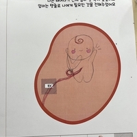 [이담생] 교육이야기 