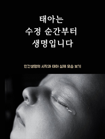 인간생명의 시작과 태아 실제 모습 보기