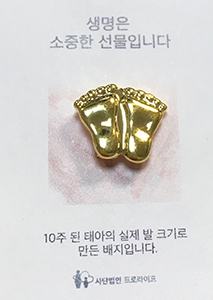 10주 된 태아 발배지