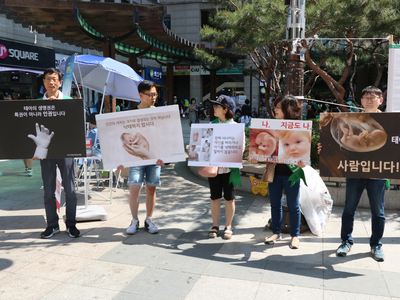 [종료] 2017 생명사랑 태아살리기 정기 가을 캠페인 <br> 10월 14일, 21일, 28일 