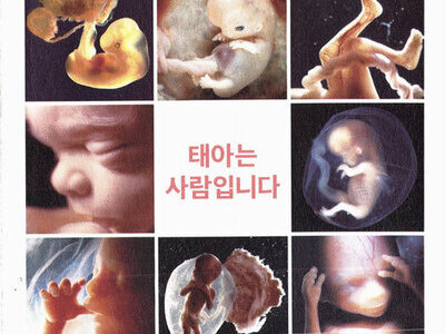 태아는 사람입니다