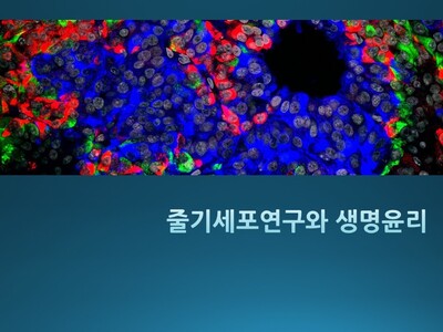 3월 강사보수교육 <br> 